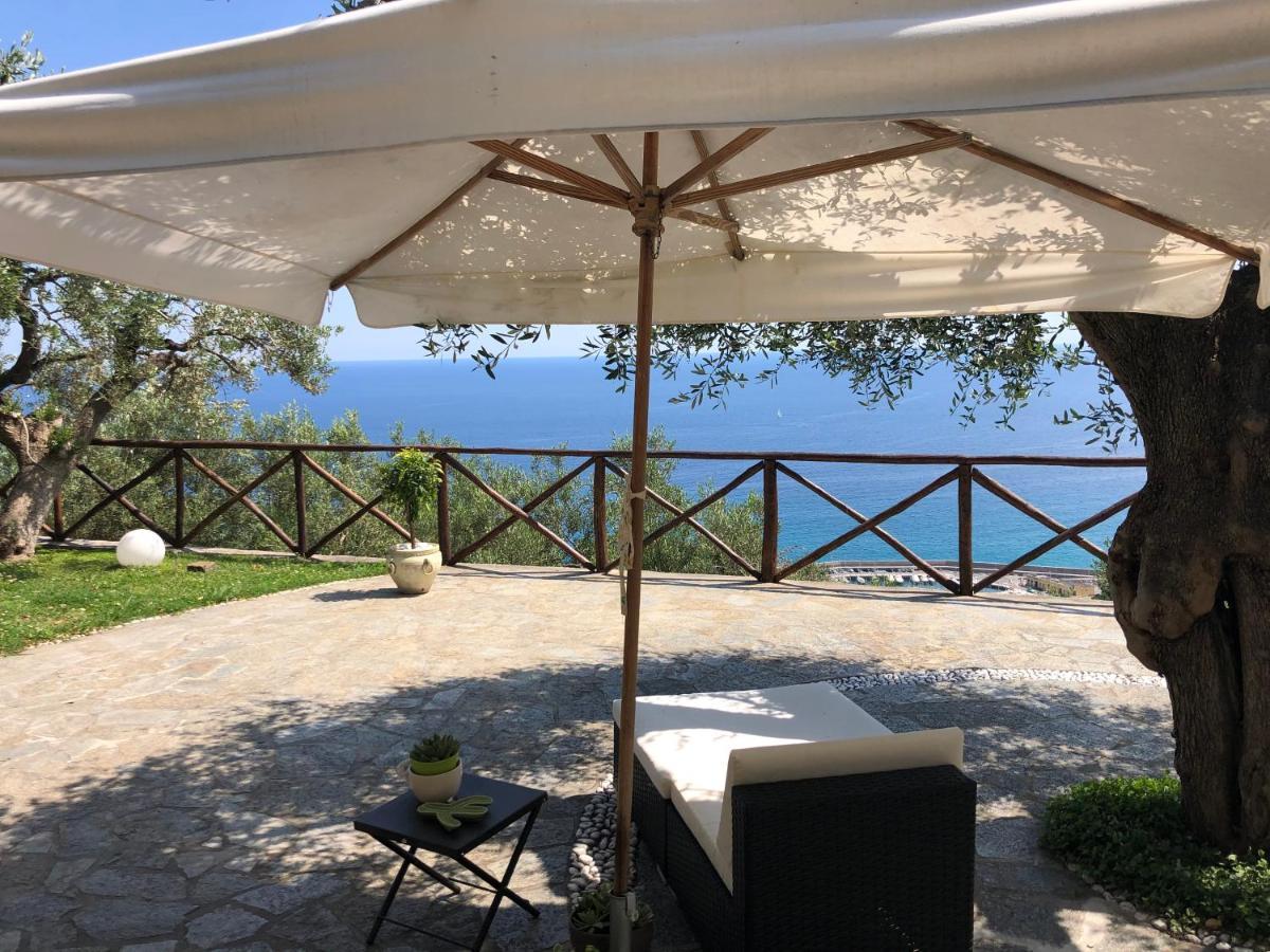 Villa Degli Ulivi B&B Finale Ligure Exteriör bild